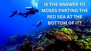 Did Moses Really Part The Red Sea? Christian Fundamentalists Say Proof The Red Sea Did Split. Debunk