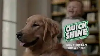 Quick Shine How To