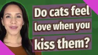 Do cats feel love when you kiss them?
