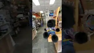 Gene The Bear Visits Fly Fishing the Smokies | Bryson City, NC