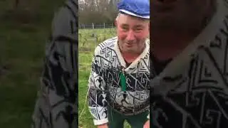 LA PLACE DU VILLAGE :L&rsquo;attachage de la vigne &agrave; Saint-Pierre de Soucy