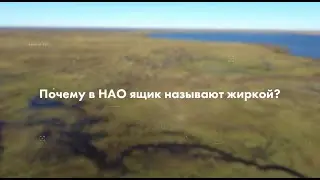 Почему в НАО ящик называют жиркой?