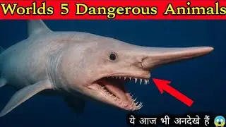 5 Recently discovered animals that are completely new?
