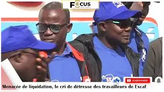 Menac&eacute;e de liquidation, le cri de d&eacute;tresse des travailleurs de Excaf telecom