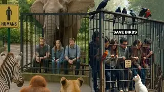 Human Zoo 🙅&zwj;♂️ Humans in cages 🤯