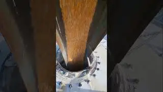 Filling my harvestore silo with corn! #agriculture #corn #farming #farmer #farmlife #farmlife