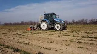 NewHolland T5.115 Multifresa Comeb - Fresatura Radicchi Lavori Agricoli Pavirani