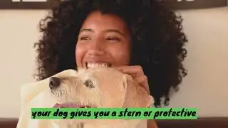 Beware: Dogs staring may signal danger