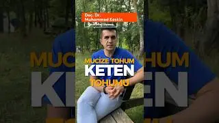Mucize Tohum: Keten Tohumu