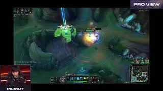 Peanut Pro View | NS vs HLE | LCK 2024 Spring