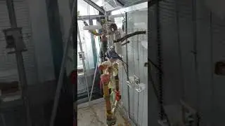 Greenhouse Parakeets Aviary