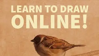 markcrilley  - How to Draw a Realistic Eye - markcrilley