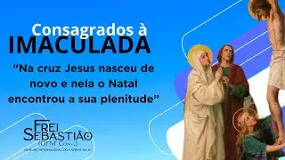 “Na cruz Jesus nasceu de novo e nela o Natal encontrou a sua plenitude