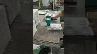 Biodegradable Takeaway Paper Pulp coffee cup tray: Sustainable Beverage Packaging Solution