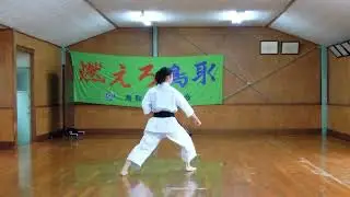 Pinan Nidan Kata by Rika Usami #pinannidan #karate