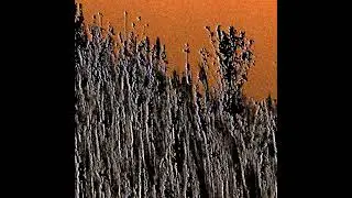 Red Trash Panda - Orchards & Power Lines (Full EP)