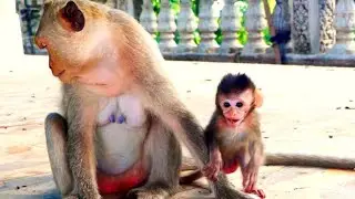 Adorable Baby Monika Loves to Play So Sweetly