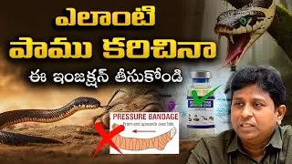 Snake Bite Injection | పాముకాటు, తేలు. లాంటి విష సర్పాలు కరిస్తే ఎలాంటి చికిత్స అందించాలి ?