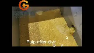 Mango pulper,mango blackberry pulp extraction machine,fresh mango apricot processing plant