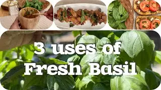 3 Recipes with Fresh Basil | A little bit of love