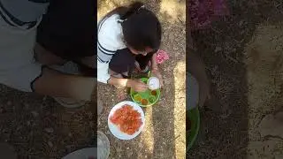 1 Jan picnic 🧺.mangata pahadipath Cg #chhattisgarh #picnic #blogging