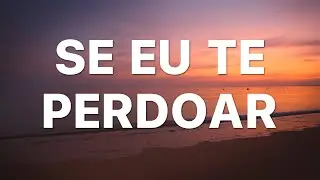 SE EU TE PERDOAR  (Ao Vivo) - Netto Brito (Letra)