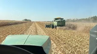 Grain Carting Corn!!
