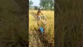 7 Hp Power Reaper Kamco Type