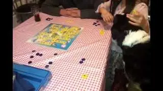 Jess plays scrabble