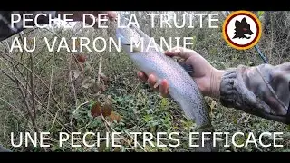 PECHE A LA TRUITE AU VAIRON MANIE, UNE PECHE TRES EFFICACE