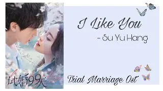 Trial Marriage Ost | I Like You - Su Yuhang  Chinese Drama 2021
