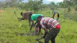 ABOUT PERMACULTURE PARADISE INSTITUTE