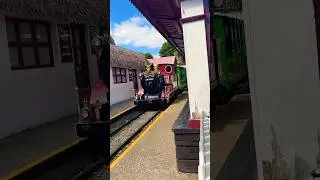 Drusillas Zoo Park UK 🇬🇧 #short #shorts #ytshorts #viralshorts #trending