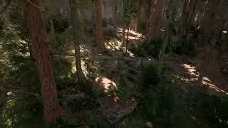 Insane Forest in Unreal Engine 5!!