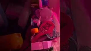 Покажу вам некоторые из моих любимых вещей!