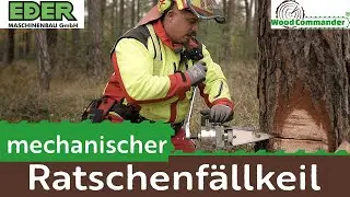 Sicheres Fällen mit mechanischem Ratschenfällkeil
