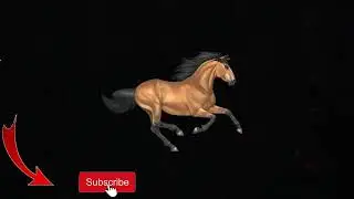 [SOLD] Quavo x Lil Nas X Type Beat Wild Horse Free Trap Beats 2020 - Country Trap Instrumental