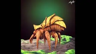 Clay Spider 3D