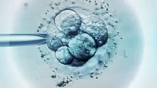 Scientists create the world&rsquo;s first 'synthetic' embryos without using sperm or eggs