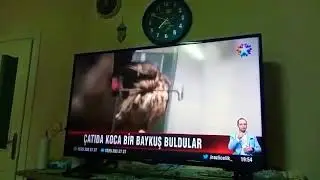 IĞDIR'DA TAVAN ARASINA GİREN BAYKUŞ U KURTARAN M&Uuml;TEVAZI AL&Ccedil;I USTASI KURTARDI VE DOĞAYA SALDI