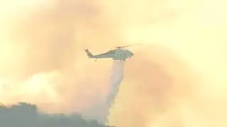 Los Angeles' Skirball Fire at 5 per cent containment: Officials
