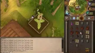 Farming- 