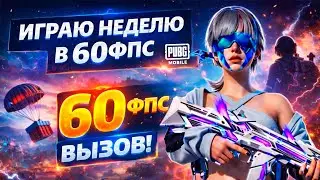 60 FPS в PUBG Mobile на неделю &mdash; боль или кайф?