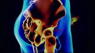 20 Hz Hip Pain Relief  Therapy | 15 Min Rife Treatment | Pure Isochronic Binaural Beats