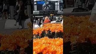 schiphol plaza amsterdam