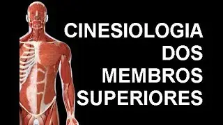 Cinesiologia dos membros superiores parte II (cotovelo, antebraço, punho)