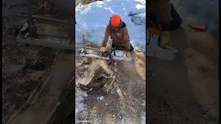 milling beautiful butternut slabs with Alaskan chainsaw mill