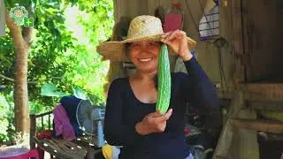 Buhay Bukid ni Maureen  (digital farmer-turned-vlogger )