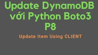 201 Updating DynamoDB with Python Boto3 P8 | Update Item Using CLIENT hands-on