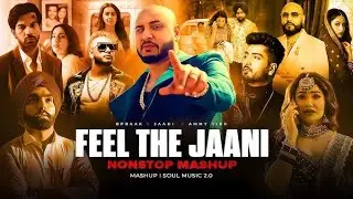 Feel The Jaani Mashup 2023 : B Praak X Ammy Virk X Sunanda Sharma | DJ Rash King & Sunny Hassan